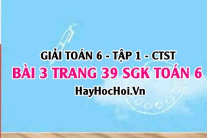 Giải bài 3 trang 39 Toán 6 Tập 1 SGK Chân trời sáng tạo